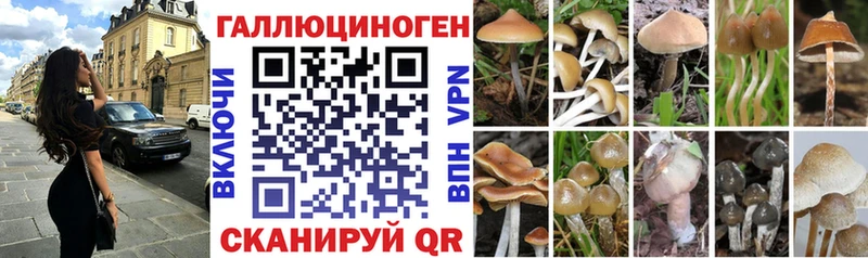 Галлюциногенные грибы мицелий  Купить где  Сосновка 