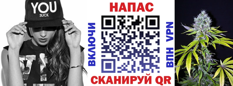 Купить закладки  Сосновка  МАРИХУАНА гибрид 